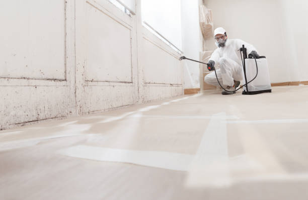 24/7 Emergency Mold Inspection experts in Georgetown, IL
